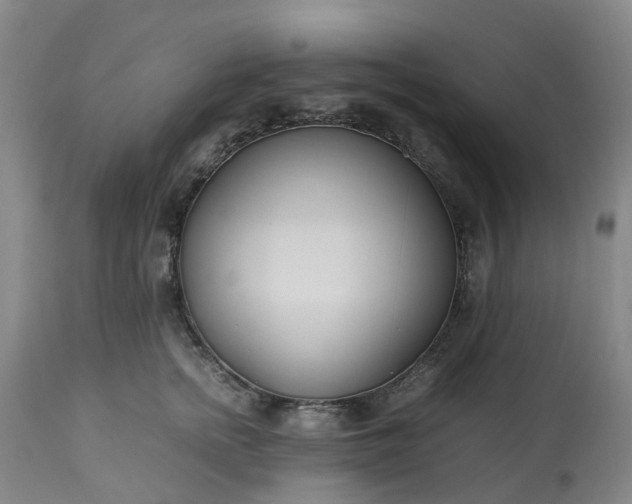 X0000113210758200909241423