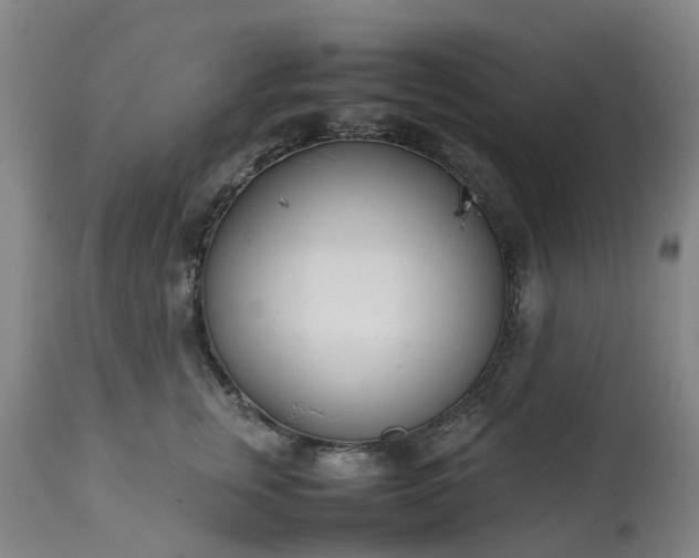 X0000113210759200909241424