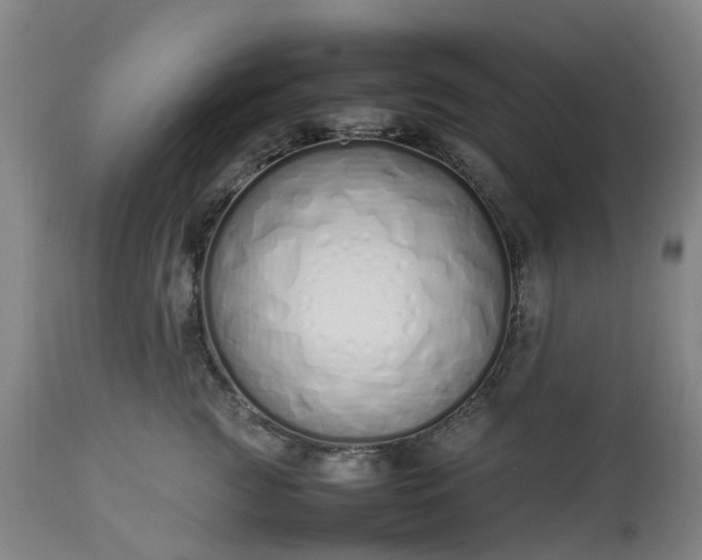 X0000113210761200909241424