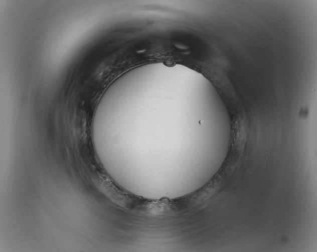 X0000113210762200909241424