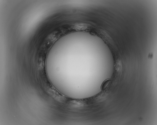 X0000113210763200909241424