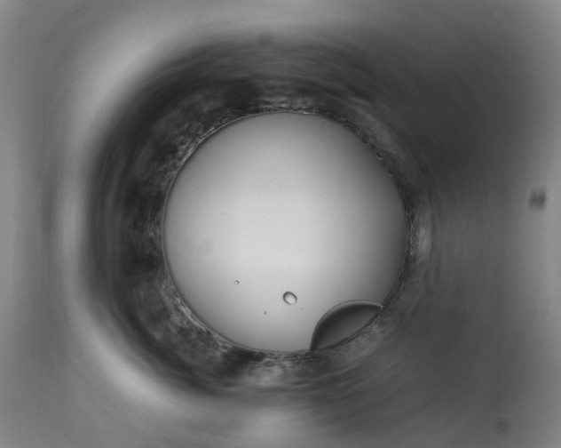 X0000113210764200909241424