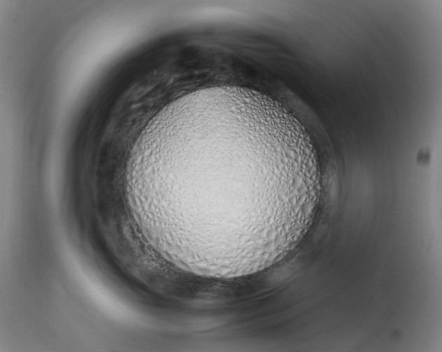 X0000113210765200909241424