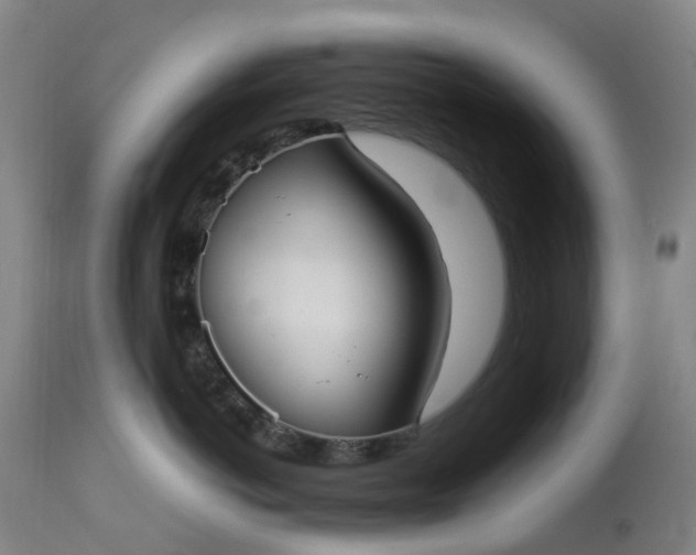 X0000113210766200909241424