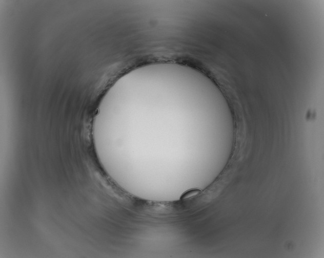 X0000113210768200909241424