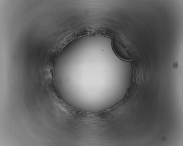 X0000113210770200909241423