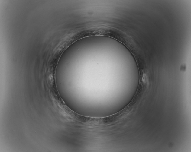 X0000113210771200909241423