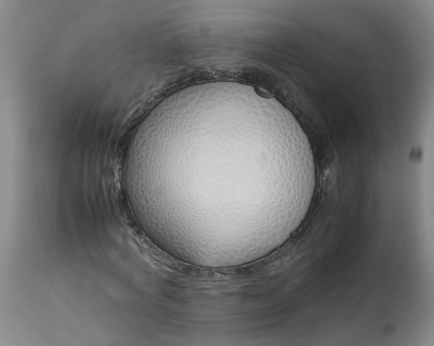 X0000113210772200909241423