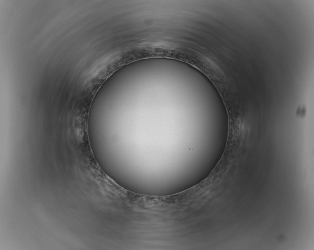 X0000113210774200909241423