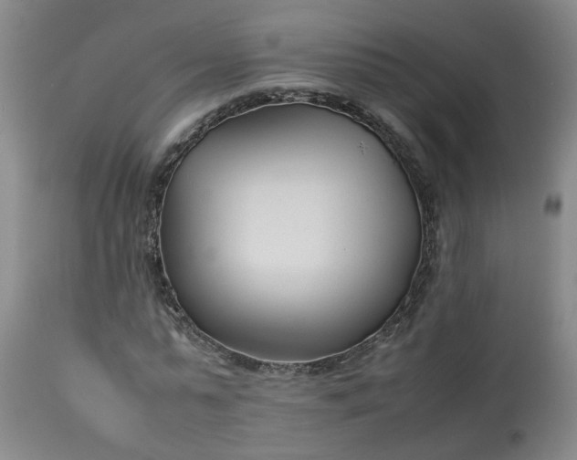 X0000113210775200909241423