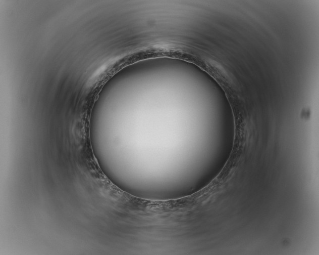 X0000113210776200909241423