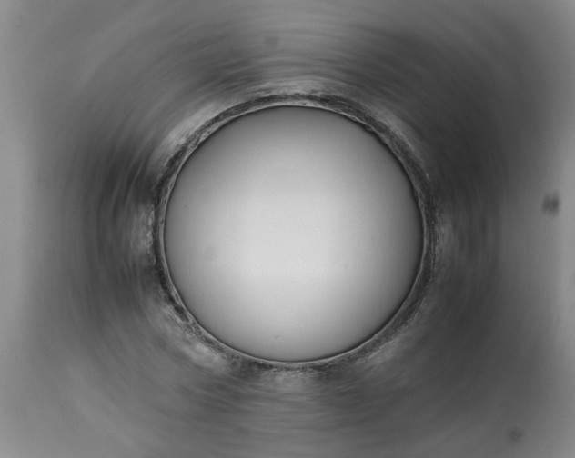 X0000113210778200909241423