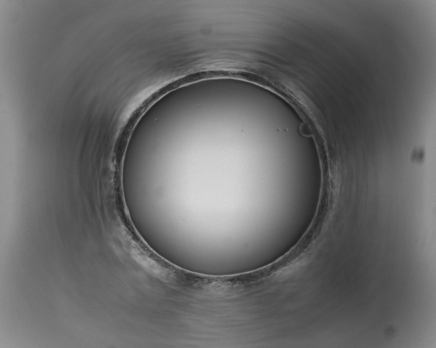 X0000113210779200909241423