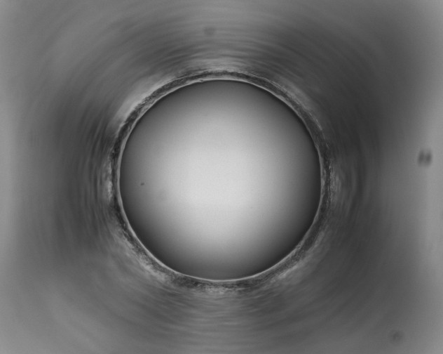 X0000113210782200909241423