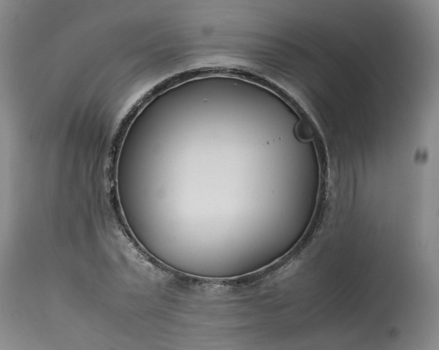 X0000113210783200909241423