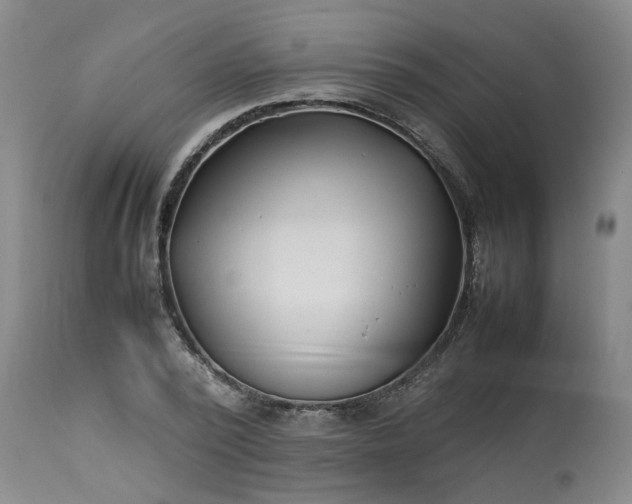 X0000113210784200909241423