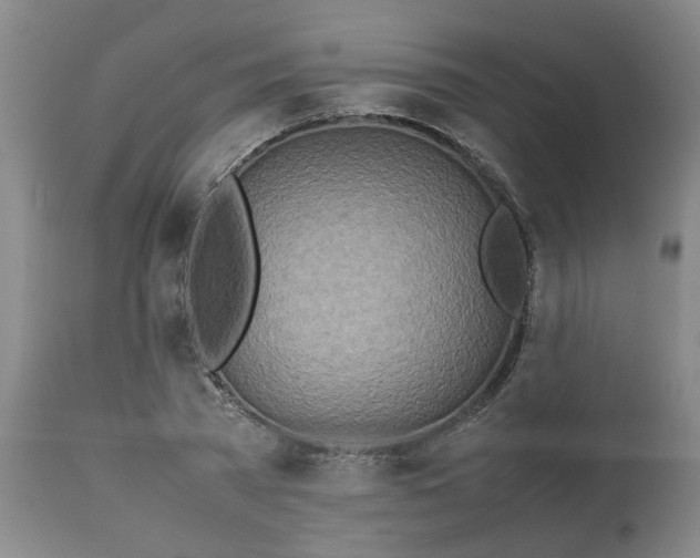 X0000113210785200909241423