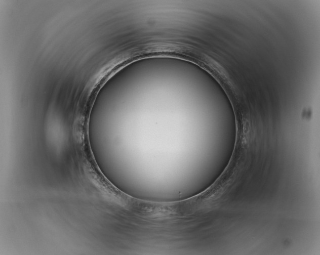 X0000113210786200909241423