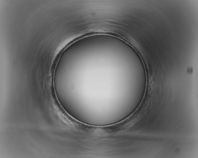 X0000113210787200909241423