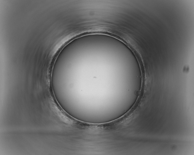 X0000113210789200909241423