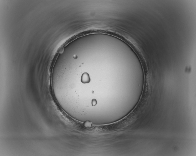 X0000113210791200909241423