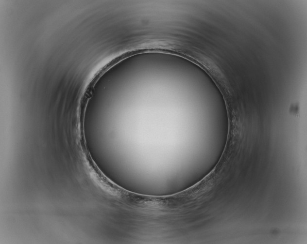 X0000113210792200909241423