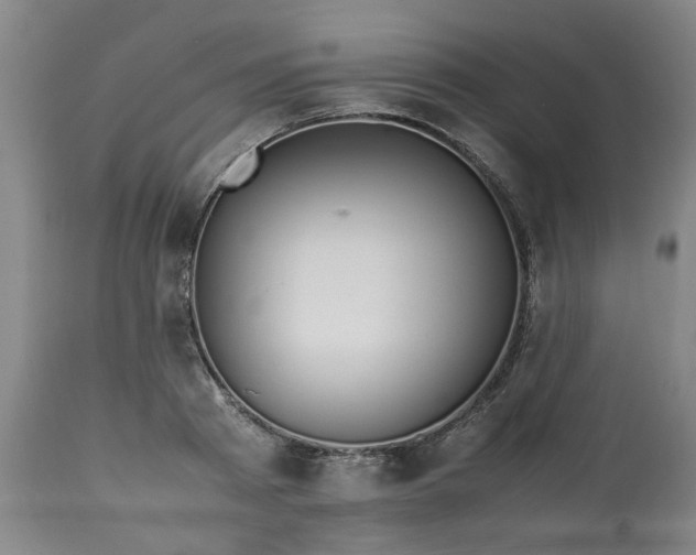 X0000113210793200909241423