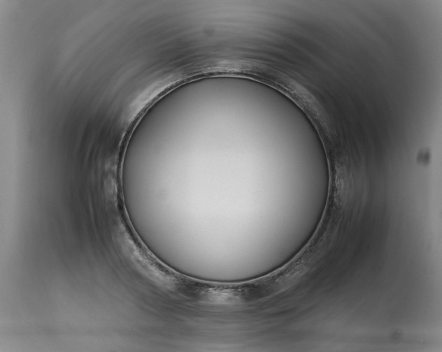 X0000113210794200909241423