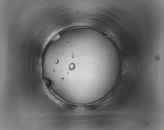 X0000113210796200909241423