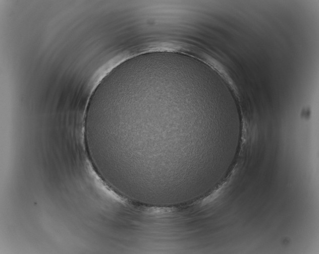 X0000113210802200909241423