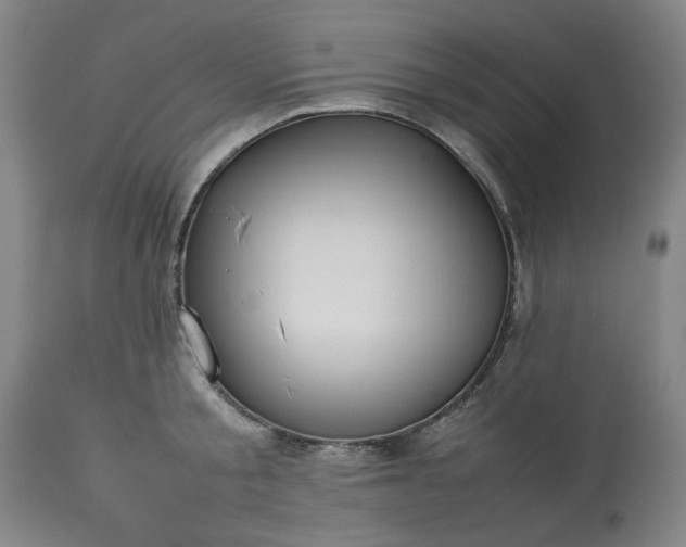 X0000113210805200909241422