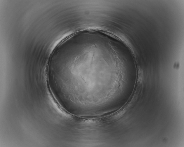 X0000113210806200909241422