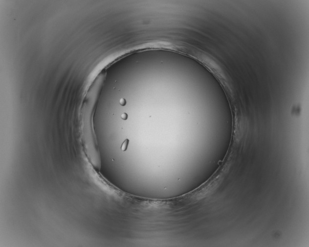 X0000113210808200909241422