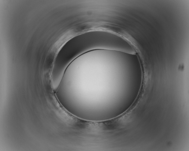 X0000113210809200909241422