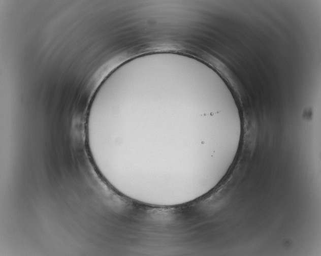 X0000113210810200909241422