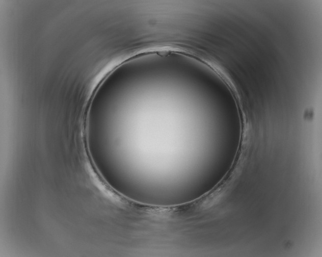 X0000113210813200909241422