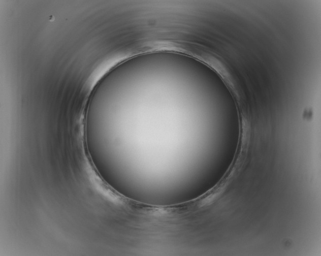 X0000113210814200909241422