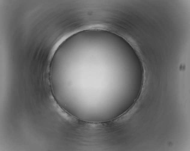 X0000113210816200909241422