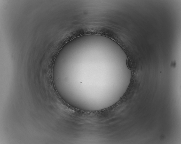 X0000113210817200909241421