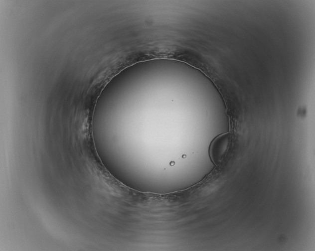 X0000113210818200909241422