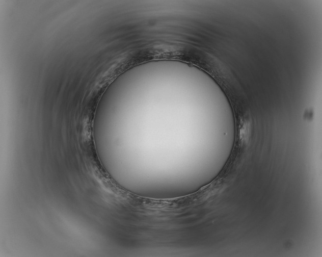 X0000113210819200909241422