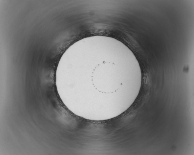 X0000113210820200909241422