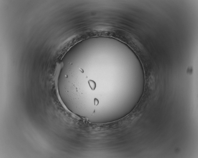 X0000113210821200909241422