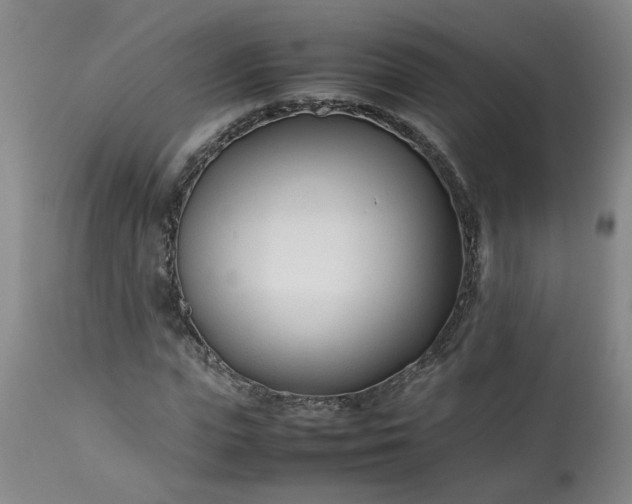 X0000113210823200909241422