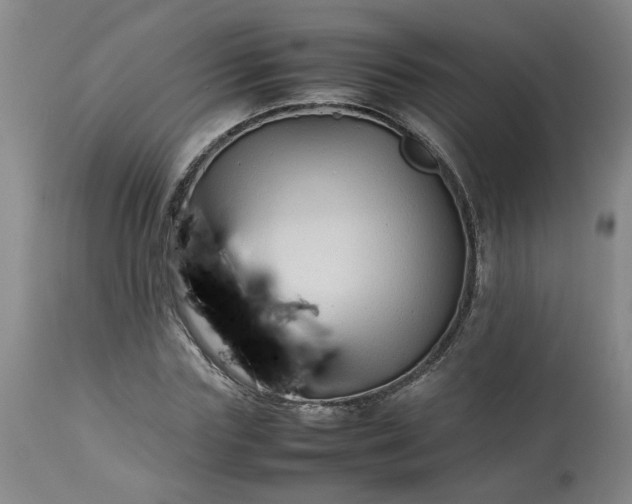 X0000113210827200909241422