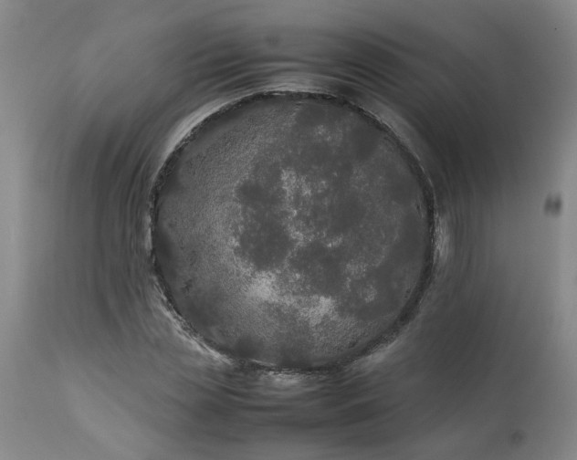 X0000113210829200909241422