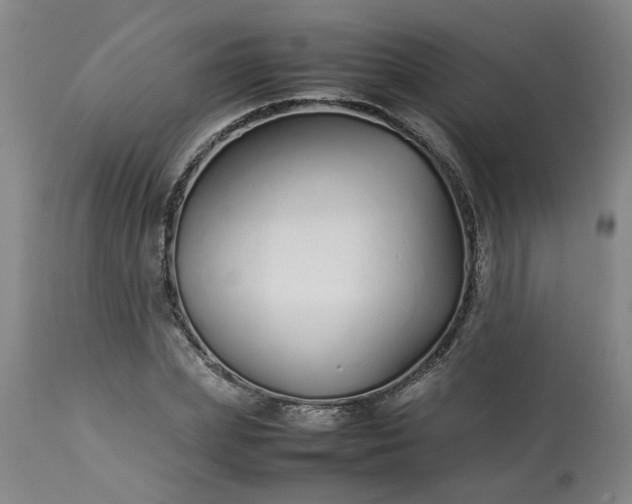 X0000113210831200909241422