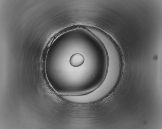 X0000113210832200909241422