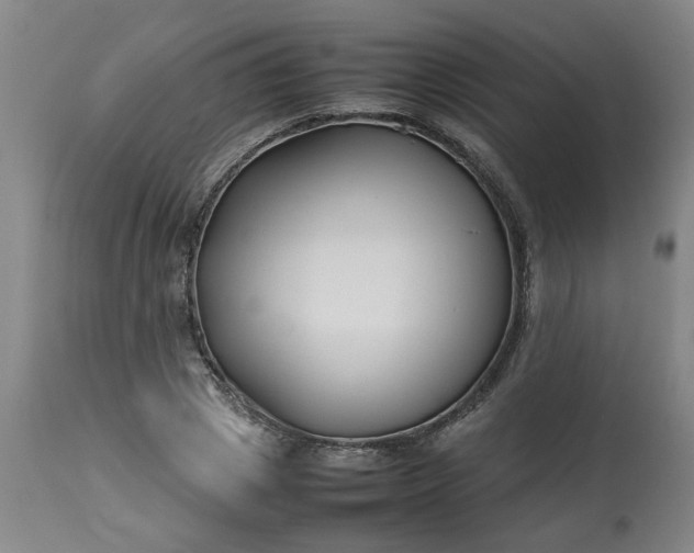 X0000113210833200909241422