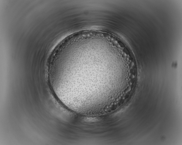 X0000113210835200909241422